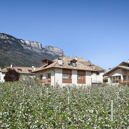 Appartement Pizzol-Hof à Appiano Sulla Strada Del Vino Extérieur photo